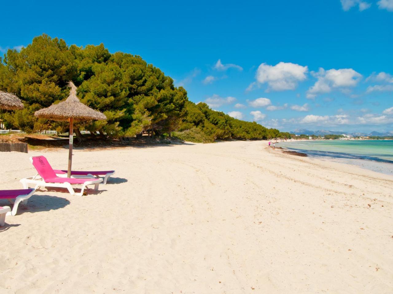 Apartment Mar Del Plata In Alcudia Beach מראה חיצוני תמונה